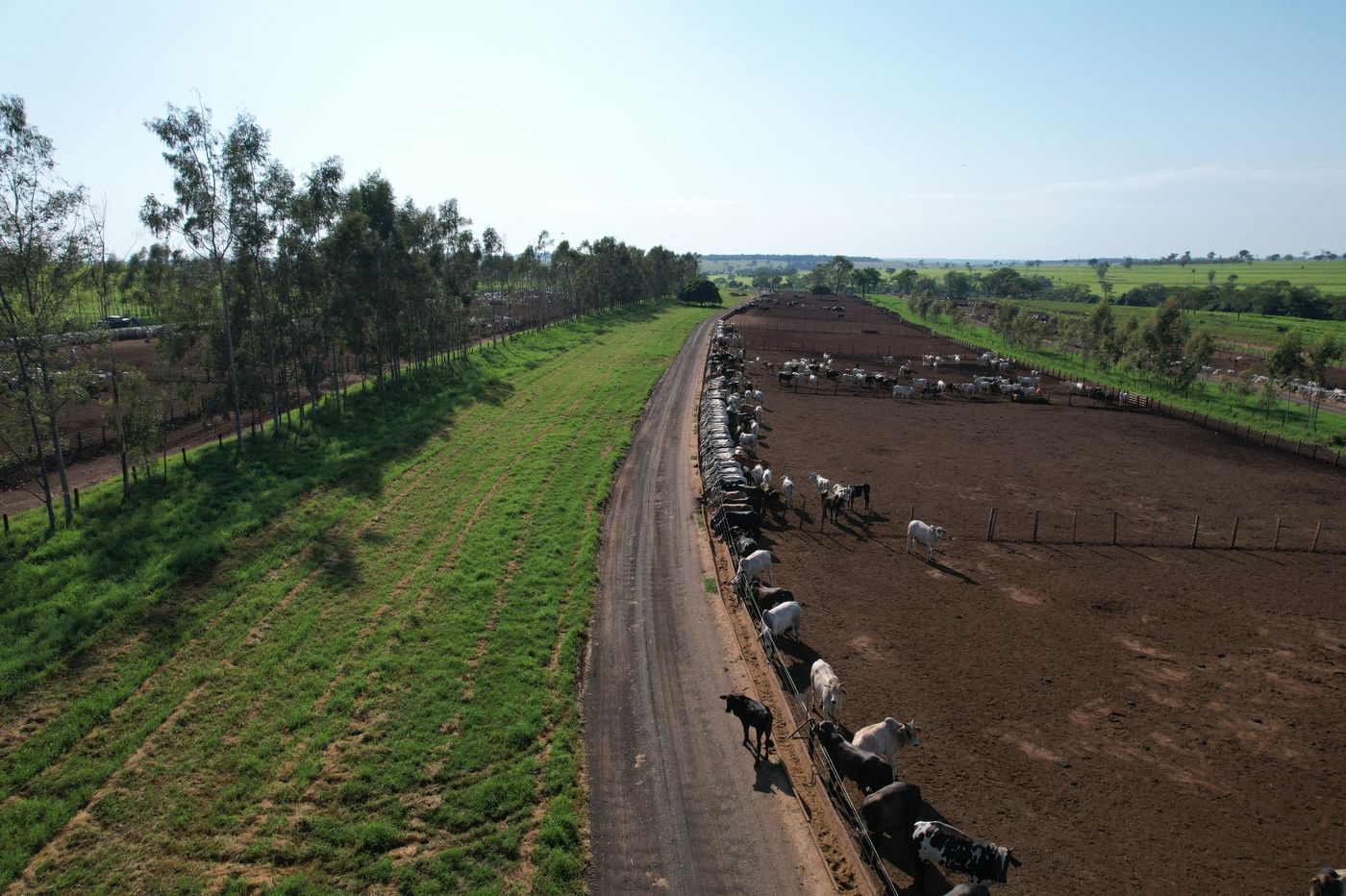 Curral e operação pecuária do BOITEL JHS
