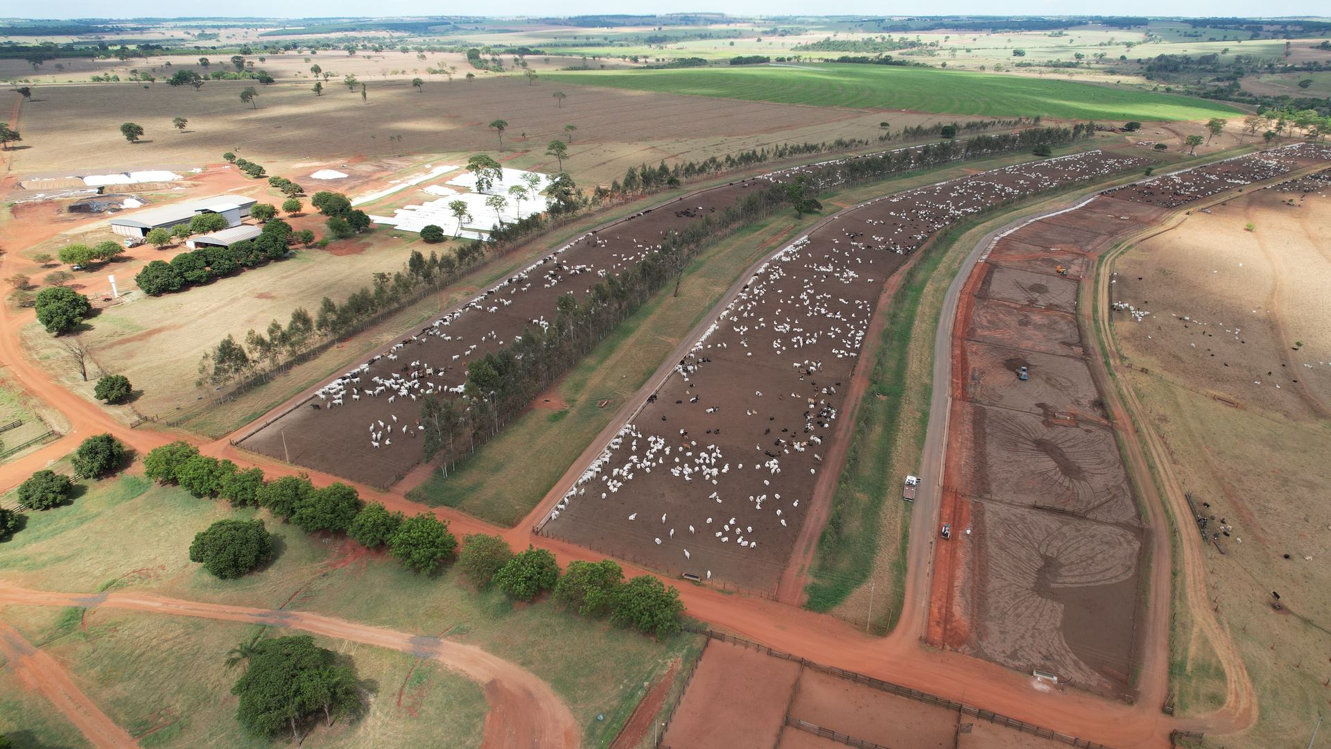 Vista aérea da operação de confinamento BOITEL JHS