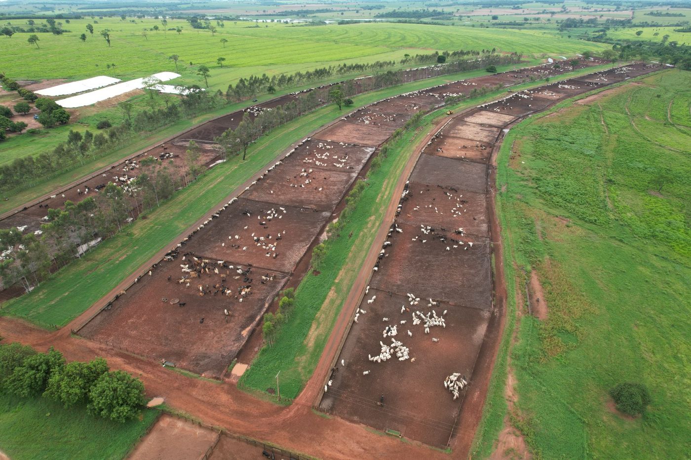 Visão aérea da operação de confinamento BOITEL JHS